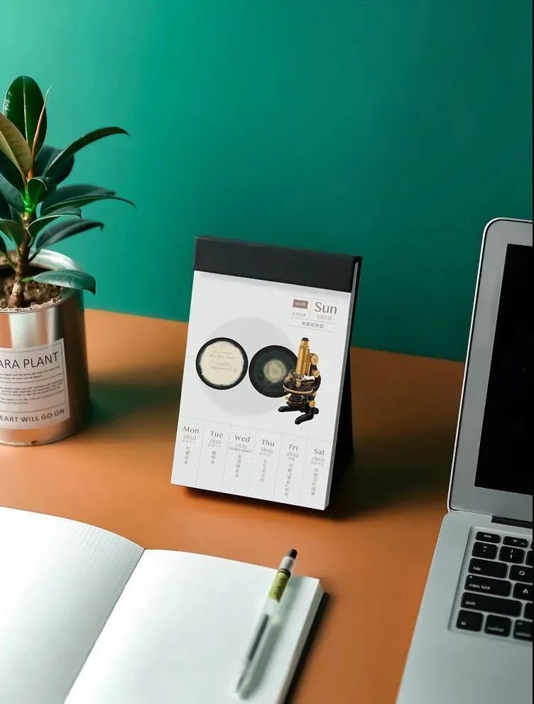 兩會開啟，3月拼顏值拼知識的月歷大賞...(圖16)