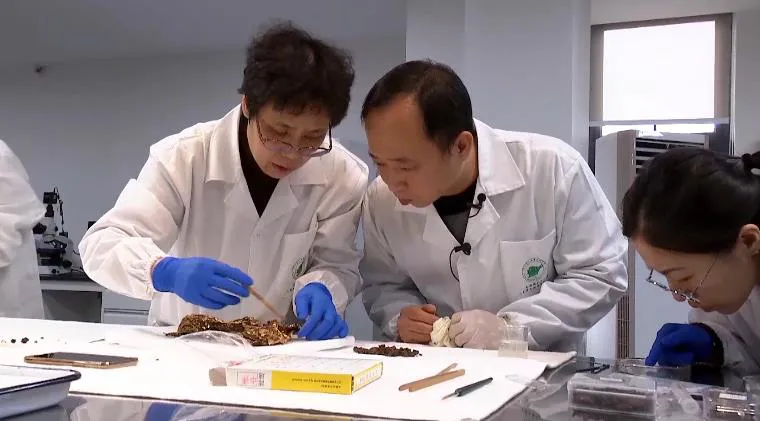 三星堆遺址“上新”，“再驚天下”~(圖2)