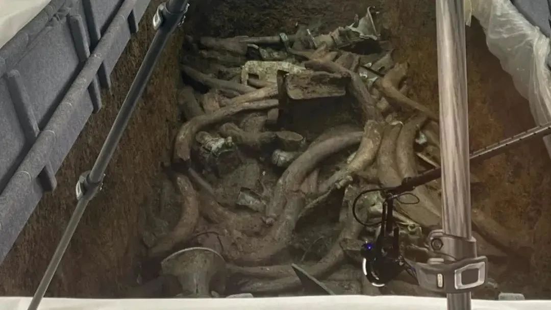 三星堆遺址“上新”，“再驚天下”~(圖6)