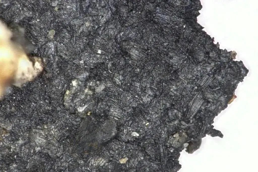 三星堆遺址“上新”，“再驚天下”~(圖9)