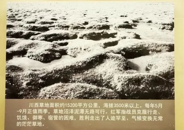 【建黨100周年】長征——偉大壯舉，不朽豐碑！(圖33)