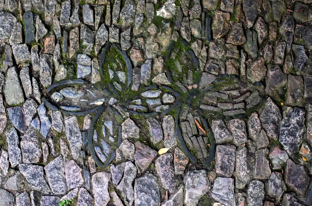 一見傾城！蘇州園林最美的花街鋪地~(圖5)