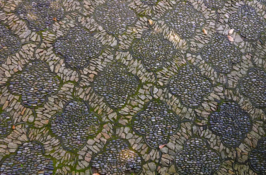 一見傾城！蘇州園林最美的花街鋪地~(圖8)