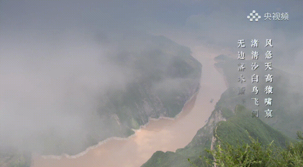 2-211221153155O2.gif 2-211221153155O2.gif